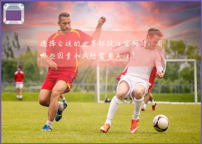 选择合适的世界杯投注官网时，有哪些因素和风险需要关注？