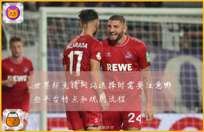 世界杯竞猜网站选择时需要注意哪些平台特点和规则流程