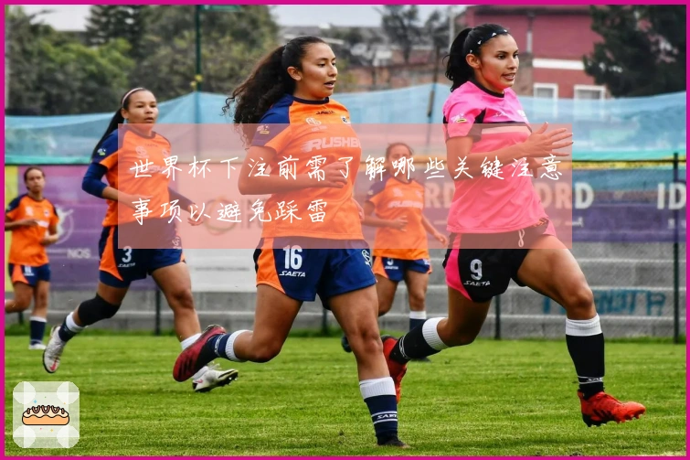 世界杯下注前需了解哪些关键注意事项以避免踩雷