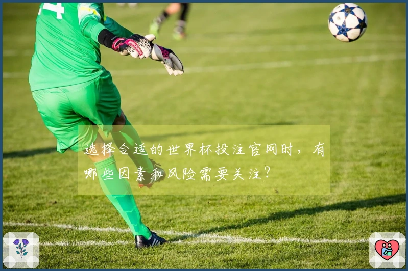 选择合适的世界杯投注官网时，有哪些因素和风险需要关注？