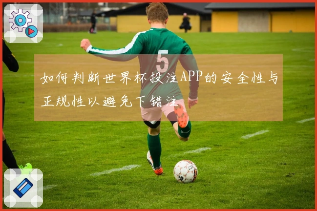 如何判断世界杯投注APP的安全性与正规性以避免下错注