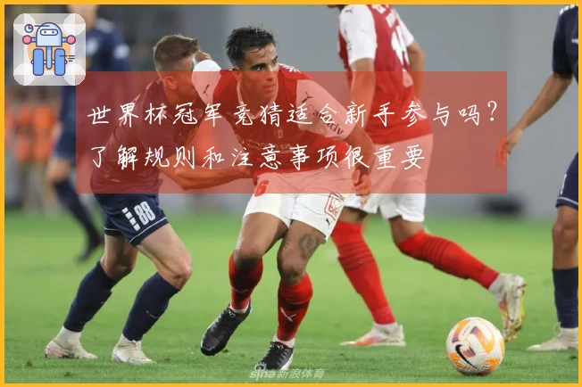 世界杯冠军竞猜适合新手参与吗？了解规则和注意事项很重要
