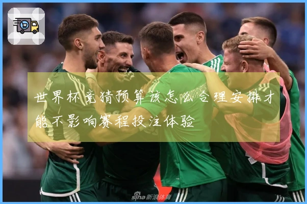 世界杯竞猜预算该怎么合理安排才能不影响赛程投注体验