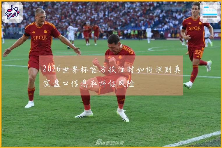 2026世界杯官方投注时如何识别真实盘口信息和评估风险