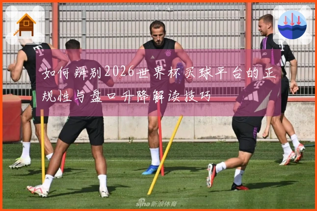 如何辨别2026世界杯买球平台的正规性与盘口升降解读技巧